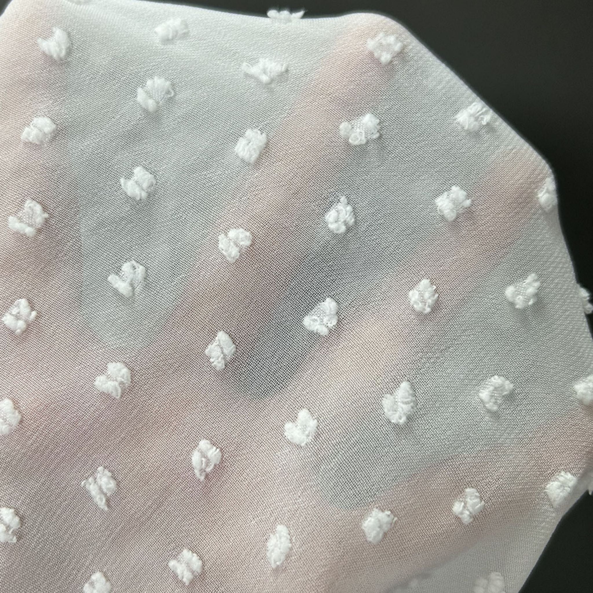 Lace Trimmed Swiss Dot Shirt